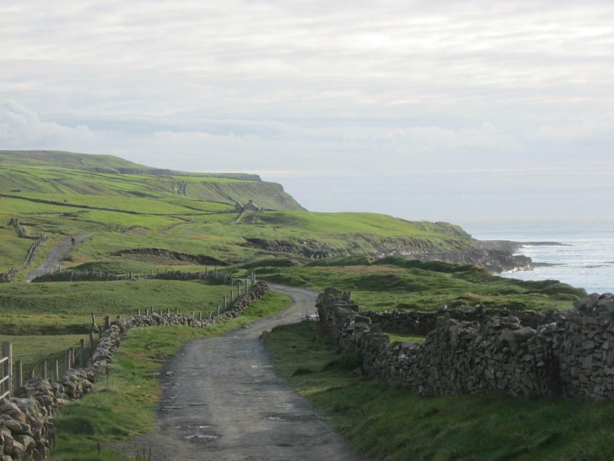 לינה וארוחת בוקר Ballyvoe House דולין מראה חיצוני תמונה